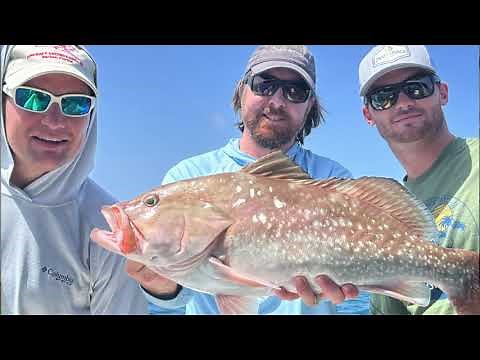 Best Lure For Reef Fishing (ONE Lure Caught TEN Species!!!)