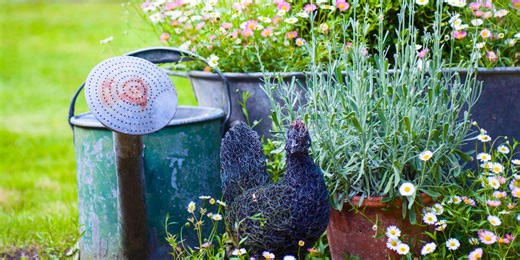 10 end-of-summer gardening jobs to tick off