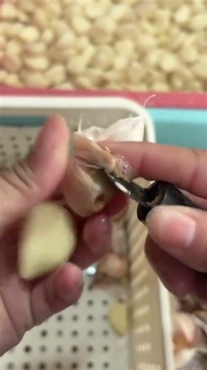 peeling garlic cloves effectively and quickly #youtubeshorts #trending