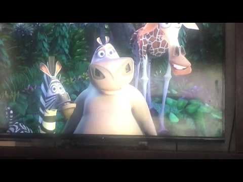 Madagascar spider scene