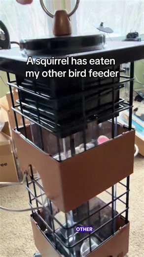 Metal squirrel proof bird feeder designed to help reduce seed loss from heavier animals while attracting finches, cardinals, and other backyard birds. Durable hanging design with easy refill top and multiple feeding ports. Great for moms creating outdoor routines and simple backyard joy.