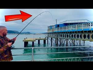 Sea Fishing in Llandudno, North Wales, U.K. 🐳
