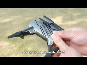 Instrucciones de inicio rápido D20