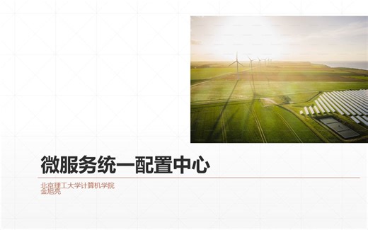 6：微服务统一配置中心（上）