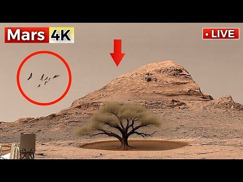 Unseen 360° 4K Mars Footage by NASA’s Curiosity Rover – The Most Realistic Look at Mars Ever!