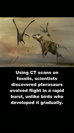Pterosaur: Flying giants with surprisingly small brains! #Shorts #animals
