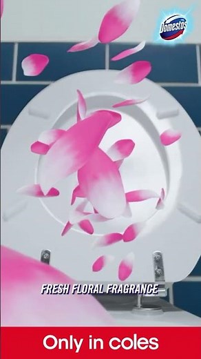 Toilet Cleaning with Floral Fresh scent