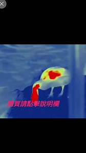 Guide高德热成相热成像仪TK TK 观瞄红外户外感应夜视仪 N N