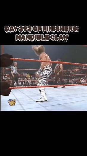 Day 292 | Mick Foley - Mandible Claw V2