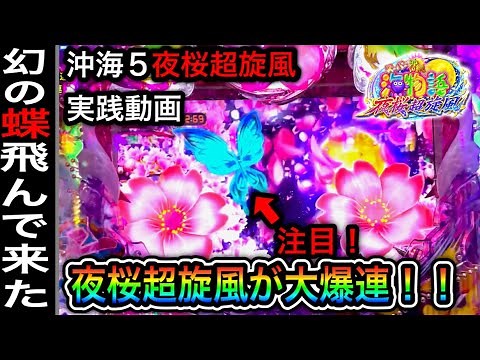 【421日目】Pスーパー海物語in沖縄5夜桜超旋風！自己記録の大連チャン！（ガチ実践動画2022/8/13）