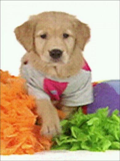 (FAKE/FICTIONAL) LG LX5460 (Alltel) - Startup and Shutdown (2003)