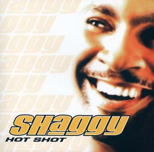 it wasn't me - shaggy