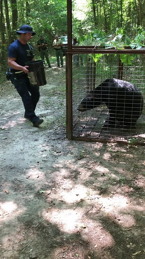 Colin Wilson on TikTok