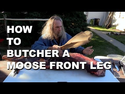 How To Butcher A Moose Front Leg