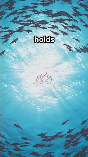 Circles everywhere!! Why math is fun! #mathisfun