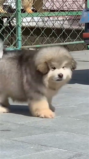 New Cool Tool!& 🥰New Viral Gadgets, Smart Kichen Appliances, Tolls, Utensils, HomeCleaning shorts😻