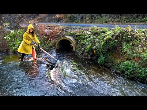 Massive Debris Blockage Removed from Culvert in Epic Cleanup