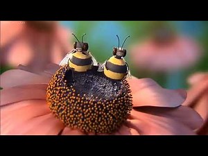 Creature Comforts America - Pets At The Vet