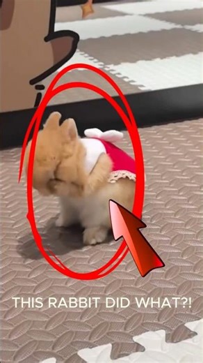This Rabbit Is Smarter Than You Think 🐇💡