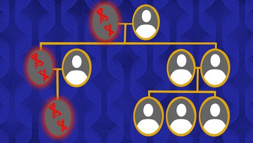 Gene variants foretell the biology of future breast cancers in Stanford Medicine study