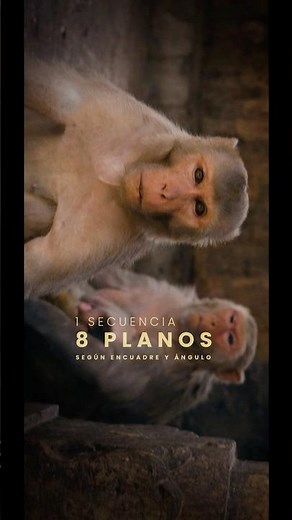 Descubre 6 Tipos de Planos en el Cine Fácilmente: cuál te gusta más? #audiovisual #filmmaking