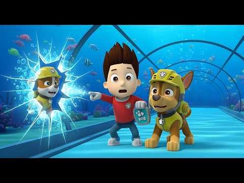 Paw Patrol Underwater Tunnel Rescue with Zuma