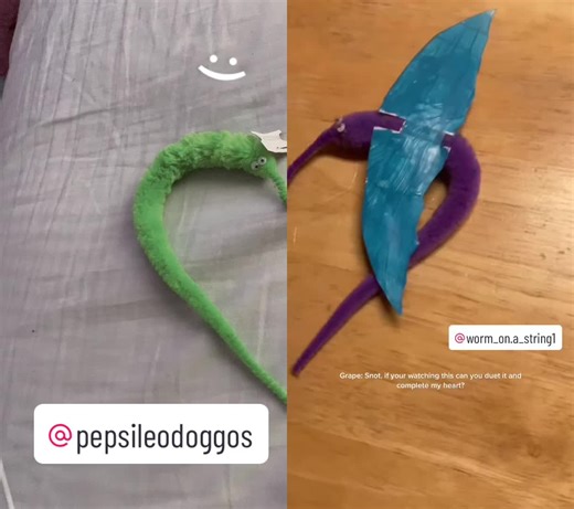 worm_on a string on TikTok