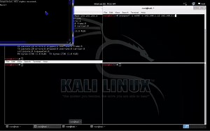 How to Perform A Man In The Middle Attack (Kali Linux)