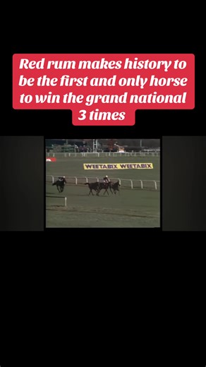 Red Rum's Historic Grand National Triumph