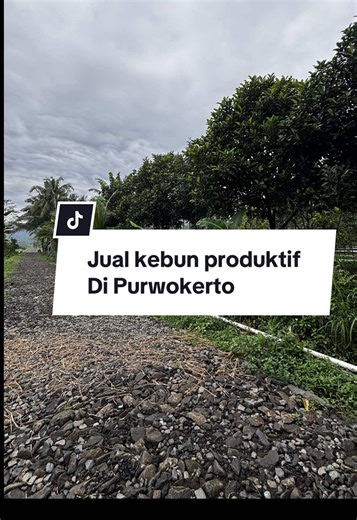 Dijual murah Kebun di Purwokerto Luas tanah 1.200m2 Harga 500 ribu/meter Legalitas SHM #tanahpurwokerto #jualtanahpurwokerto #kavlingpurwokerto #wisatapurwokerto