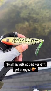 470 reactions · 30 shares | The Zoo Dog is a *Snag Proof* walking bait that you can skip and walk around the thickest of cover .No more picking weeds for of your spook every cast! #fishing #lures #bassfishing #frogfishing #walking #spook #topwater #snagproof | Snag Proof Lures | Facebook