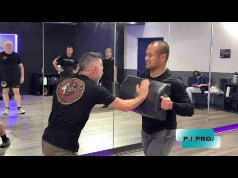 Krav Maga Defensive Solutions Close Protection Seminar