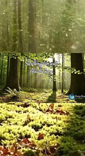 Stop Scrolling 🌲 Deep Forest Ambience for Calm & Focus #deeprest #relax
