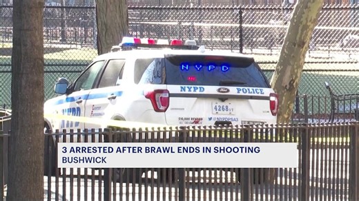 Shooting and brawl outside Bushwick NYCHA building leads to 3 arrests