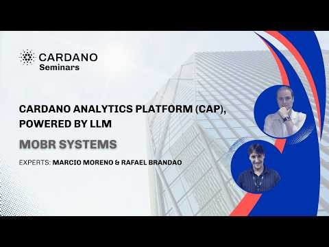 Cardano Seminar: Cardano Analytics Platform (CAP), powered by LLM
