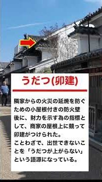 【犬連れ車中泊旅】愛犬と一緒にうだつの町並みを散歩したよ！
