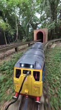 5 Inch Gauge Fun. #train #railvlogger #railway #5inch #mrmartinb #model #class31