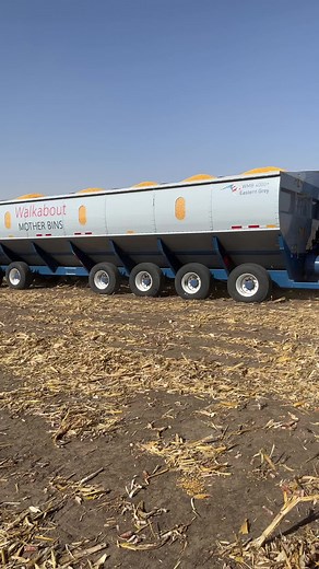 Jack Pohlmann (@jack_pohlmann)’s videos with original sound - Bandits Drug lab