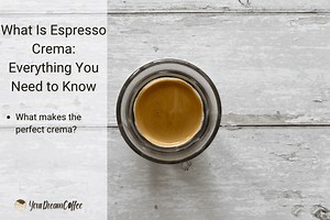 What Is Espresso Crema: Everything You Need to Know In 2026