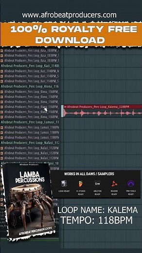 Download Afro Percussion Loops KALEMA 100% Royalty Free LAMBA Sample Pack