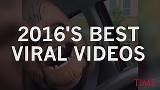 2016's best viral videos