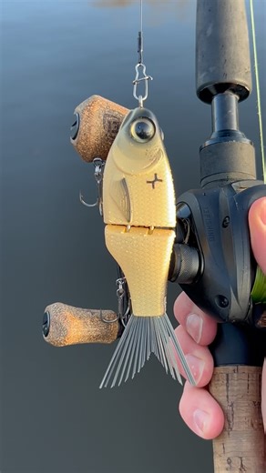 Totally underrated? 🫣 The SPRO KGB surprised us a lot when we fished it.. Meet the Spro KGB ‘LIL GUY’ 120 😍 From now on available at www.charliesfishing.com in the best colors you can have! 🔥 The SPRO KGB Lil Guy 120 is a compact, high-action swimbait designed for anglers who want a versatile lure that triggers strikes with lifelike movement. Combining realistic baitfish profile with smooth swimming action, this swimbait is perfect for targeting pike, zander, perch, bass and other predatory s