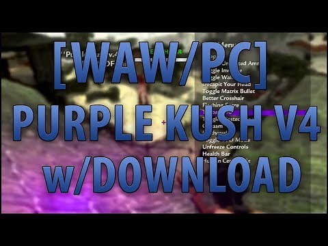 How to get a mod menu in COD WAW multiplayer