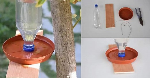 How to Make Hanging Bird Water Feeder