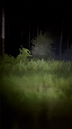 ORACLE Lighting Off-Road LED Sidemirrors: On / Off Ditch light Demo