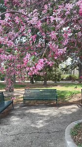 Gee willikers! How can a Naturalist relax with so much wildlife around?! 🤓🐿️📸 Join this year's #CityNatureChallenge, April 26 - May 5! All you need is a smartphone and the free @iNaturalist.org app. Learn more ➡️ @denverbotanic | Denver Botanic Gardens