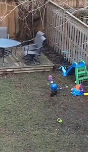 This squirrel is living their best life!