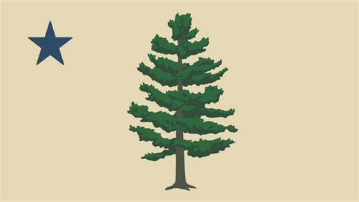 Question 5: Will Maine be adopting a new design for its state flag?
