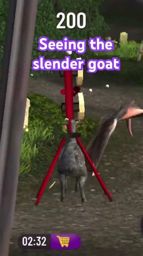 Seeing the slender goat
