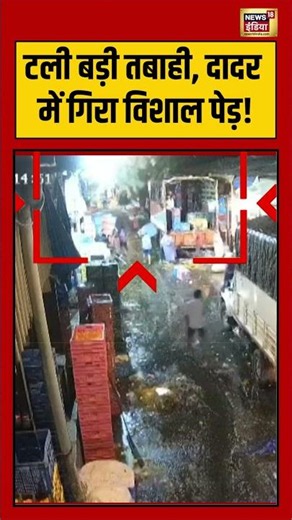 Major Tree Falls in Dadar | टली बड़ी तबाही, दादर में गिरा विशाल पेड़! | #viralvideo #shorts